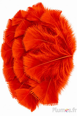 Pute - 6-8 cm - aztekengold